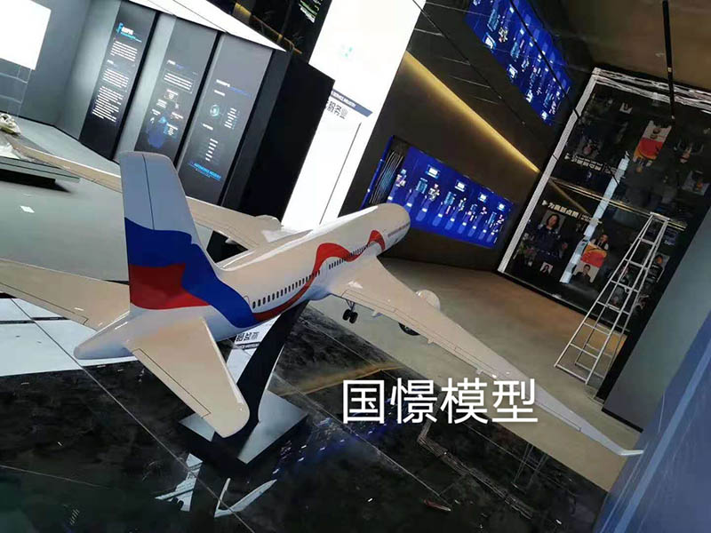 阳高县飞机模型